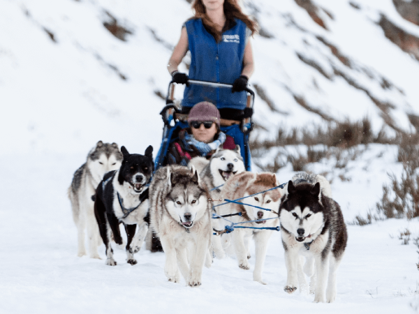 Howling Huskies return home – Mt Baw Baw